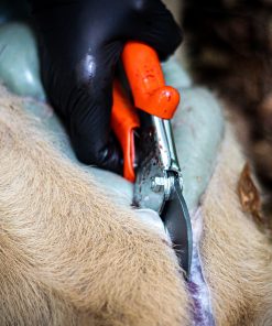 Cutting Shears Z22071