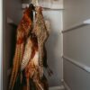 Pheasant pole